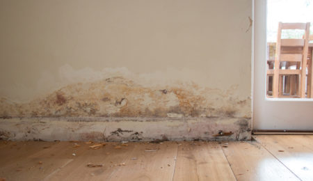 Damp_Proofing_Essex