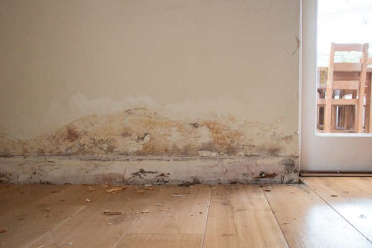Damp_Proofing